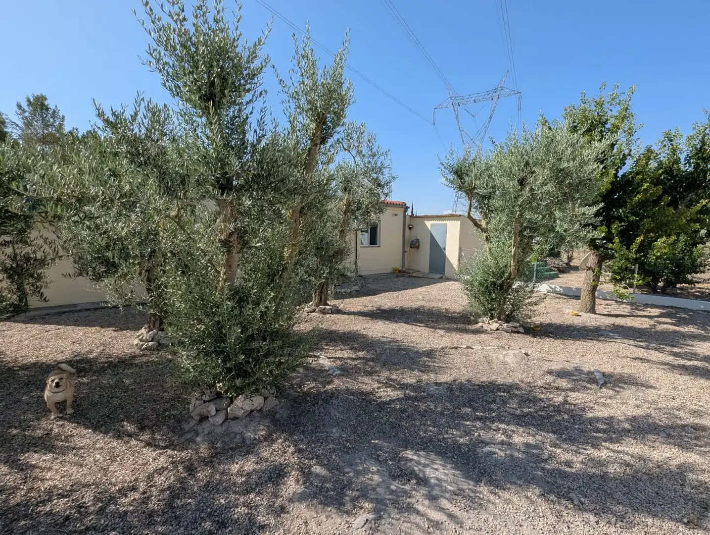 Casa rústica en venta en Sax, imagen 26