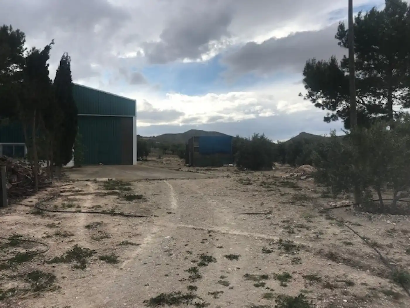 Finca rústica en venta en Cartagena