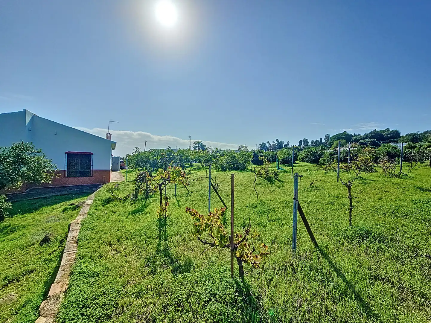 Haus mit Garten zum Verkauf in Selwo, imagen 26