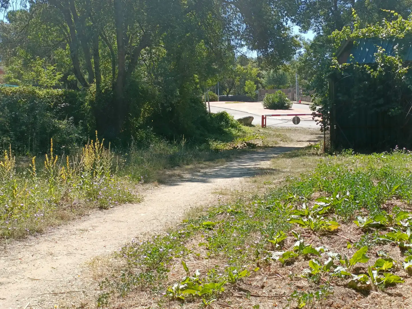 Terreny residencial en venda a Mojadillas - Parque de las Infantas - El Paraiso, imagen 5