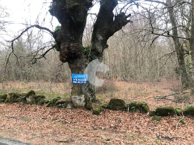 Terreno residencial en Venta en AMOEIRO en Amoeiro
