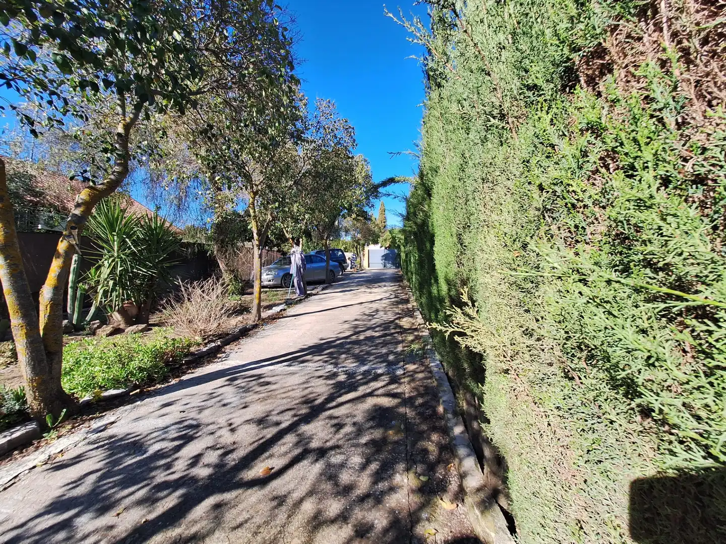 Vista exterior de Casa o chalet en venta en Torredonjimeno con Aire acondicionado, Calefacción y Jardín privado