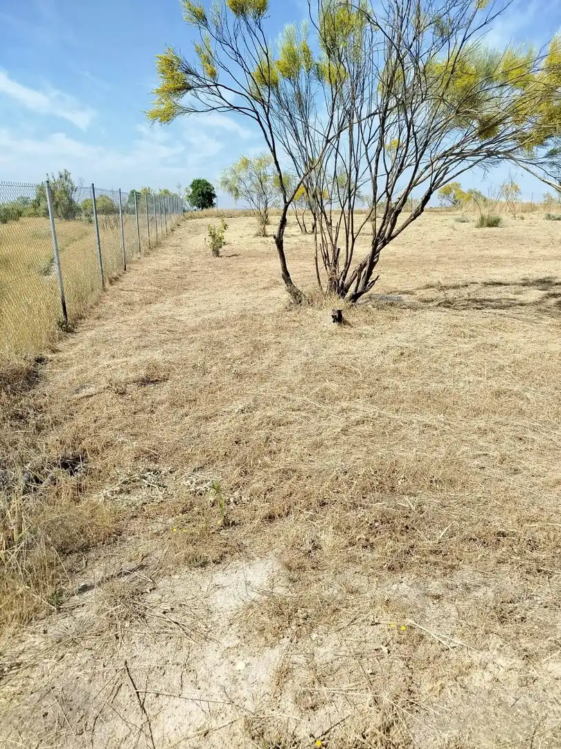 Terreno rústico en venta en Fuencarral - El Pardo, imagen 28