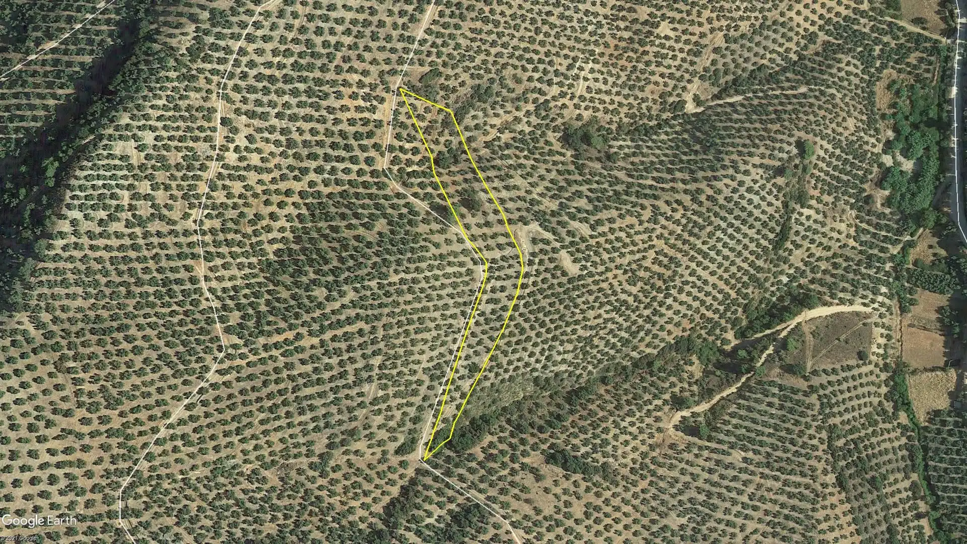Terreni e lotti in vendita a Puente de Génave, imagen 5