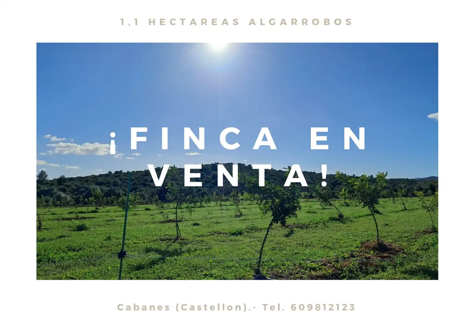 Rural land for sale in Torreblanca