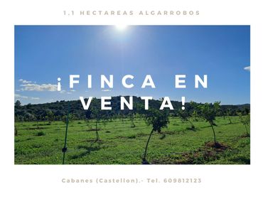 Rustikales Grundstück zum Verkauf in Torreblanca