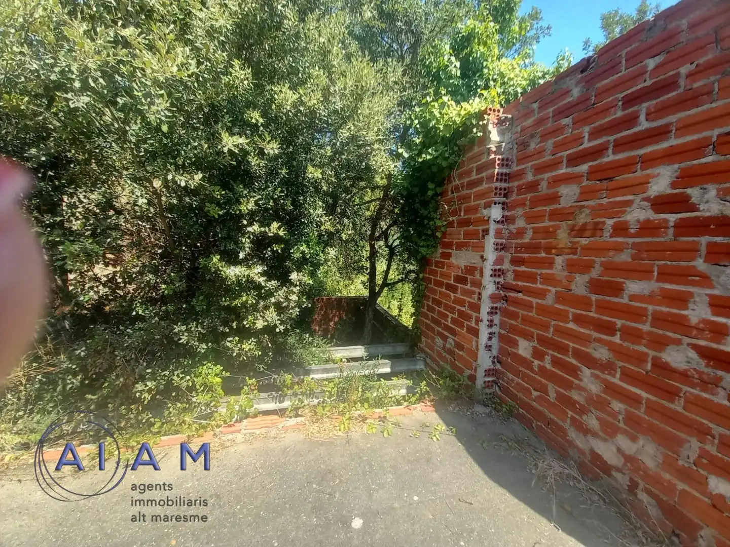 Lands and plots for sale in Palafolls, imagen 9