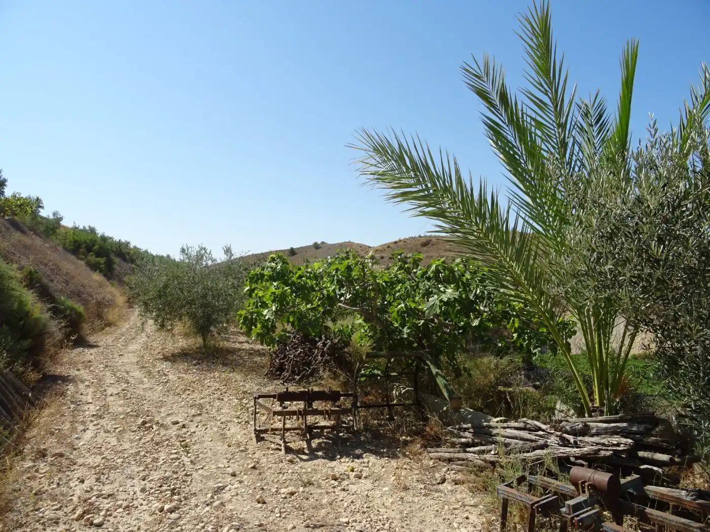 Casa o xalet en venda a Pedanías Este