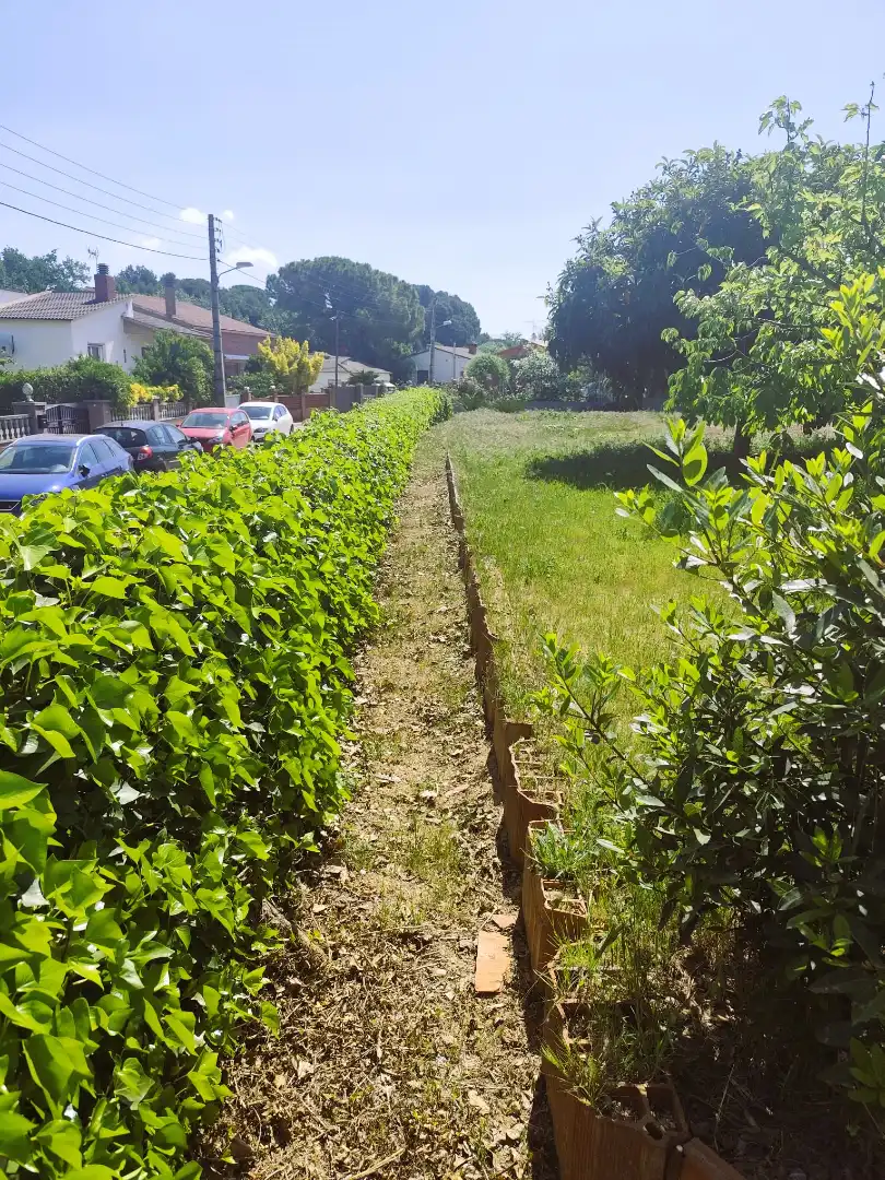 Terreno residencial en venta en Carrer Bedoll, imagen 8