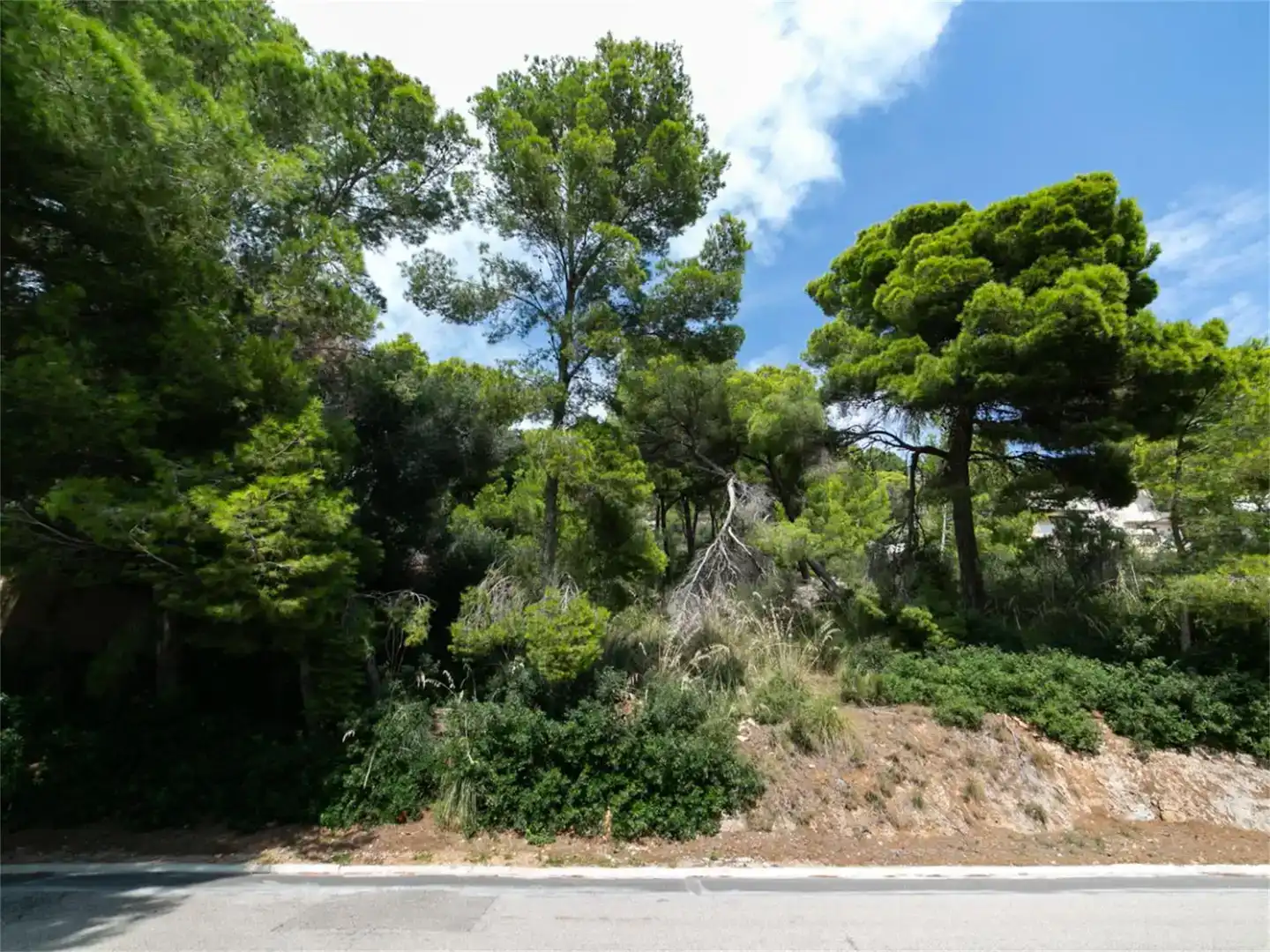 Terreno en venta en Son Servera