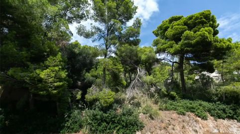 Foto 4 de Terreno en venta en Avinguda del Pinar, 87, Costa dels Pins, Son Servera