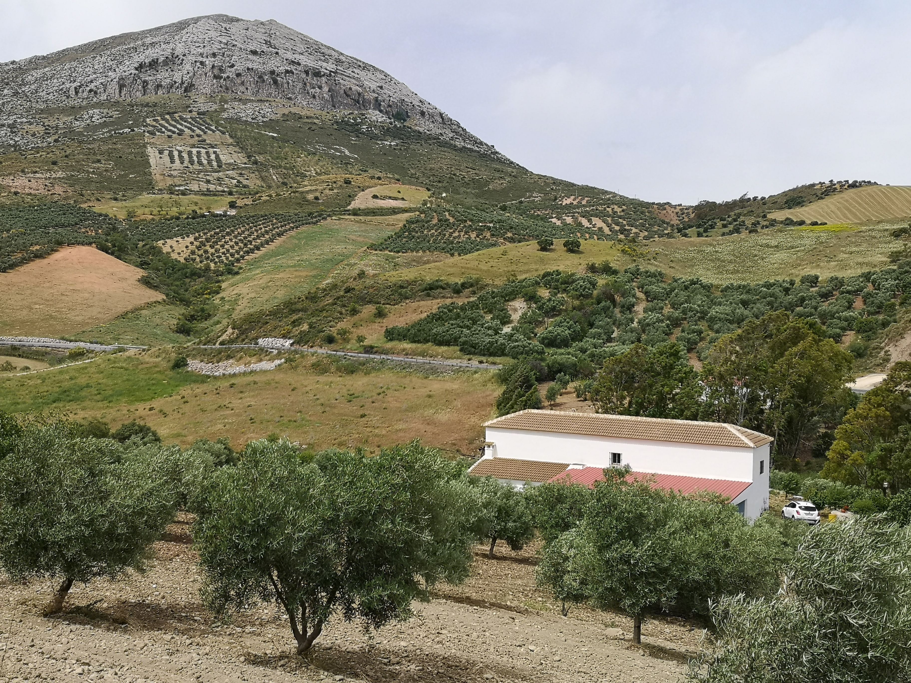 Vista exterior de Finca rústica en venda en Antequera amb Traster