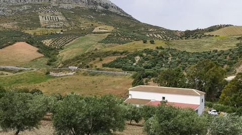 Foto 3 de Finca rústica en venda a Diseminado Poligono 72, 308, Bobadilla - Bobadilla Estación - La Joya, Antequera