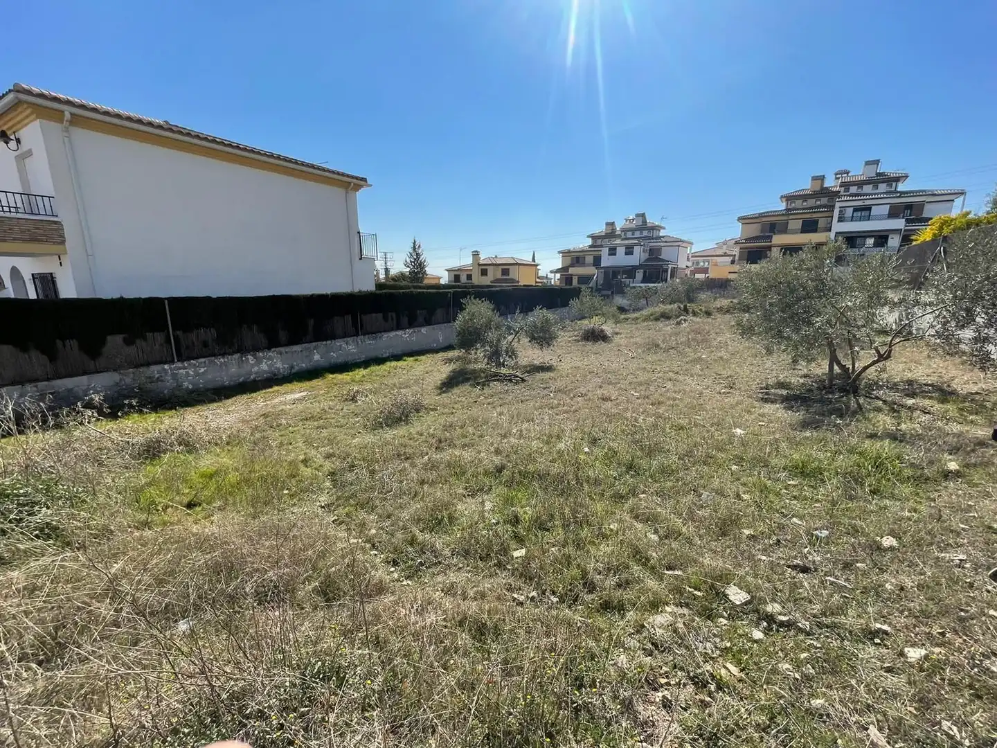 Terrenos y solares en venta en Centro de Albolote, imagen 7