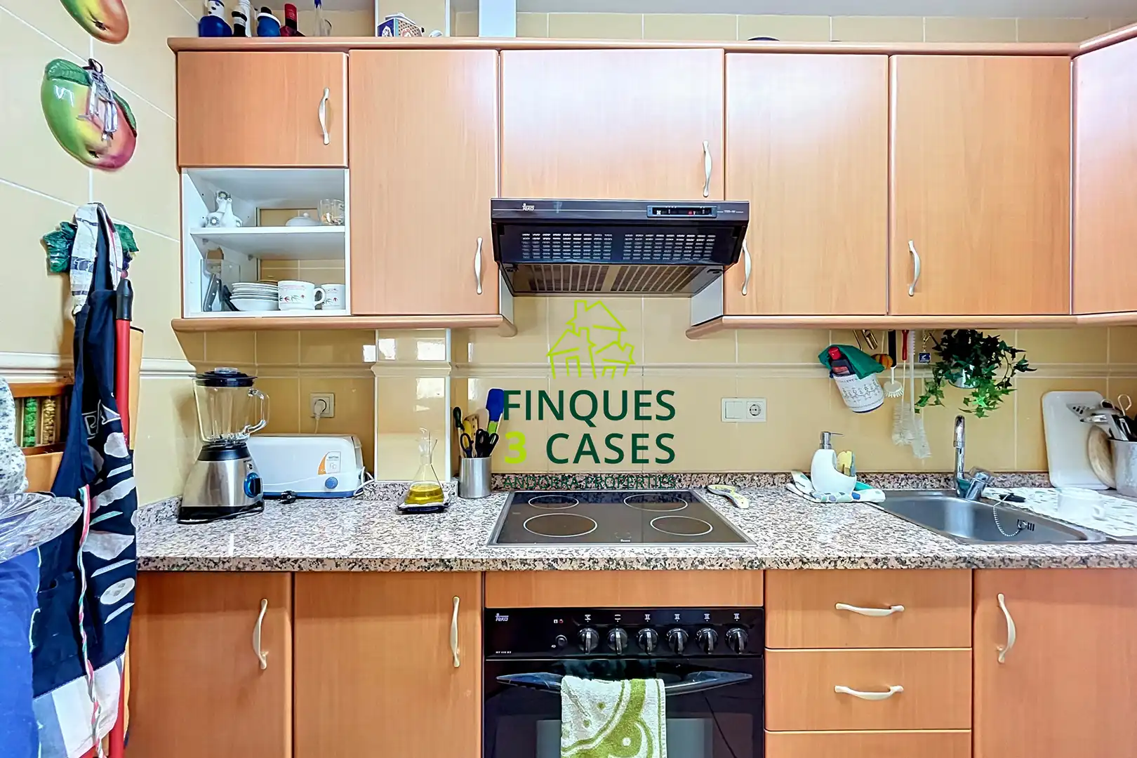 Flat with lift to rent in Carretera dels Cortals d'Encamp, imagen 12