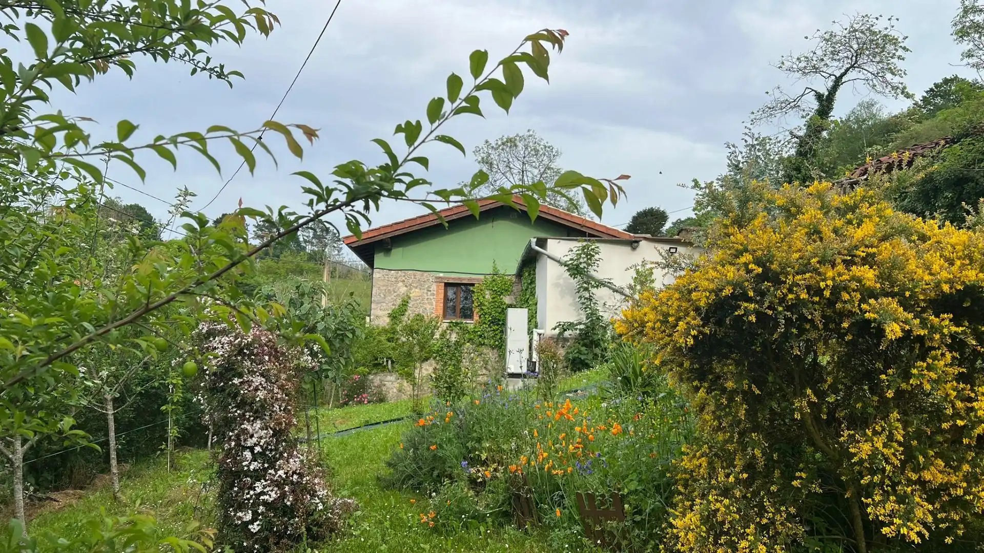 Casa en venta en Triongo, imagen 4