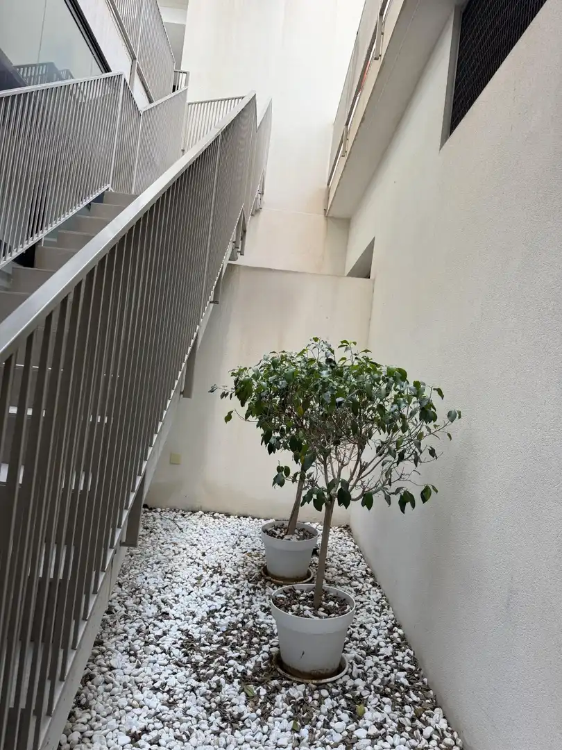 Balcony of Flat for sale in Elche / Elx  with Terrace and Community pool