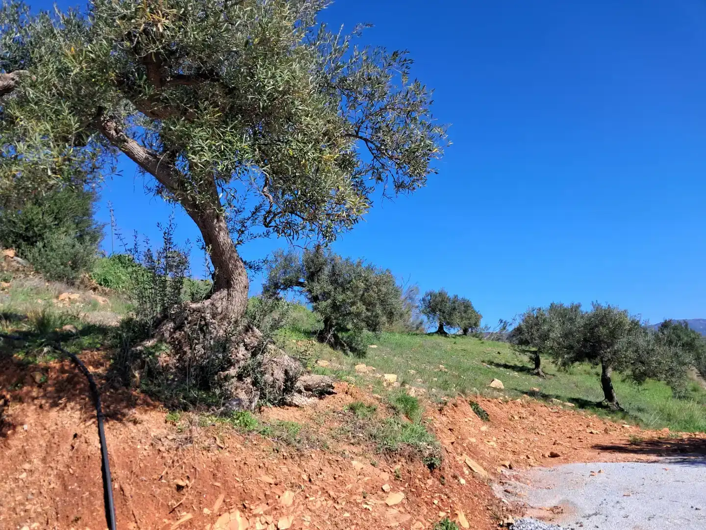 Finca rústica en venda en Almuñécar amb Traster, Moblat i Forn