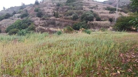 Photo 3 of Land for sale in Carretera Teror a San Mateo, 15-13, El Álamo - Arbejales, Teror