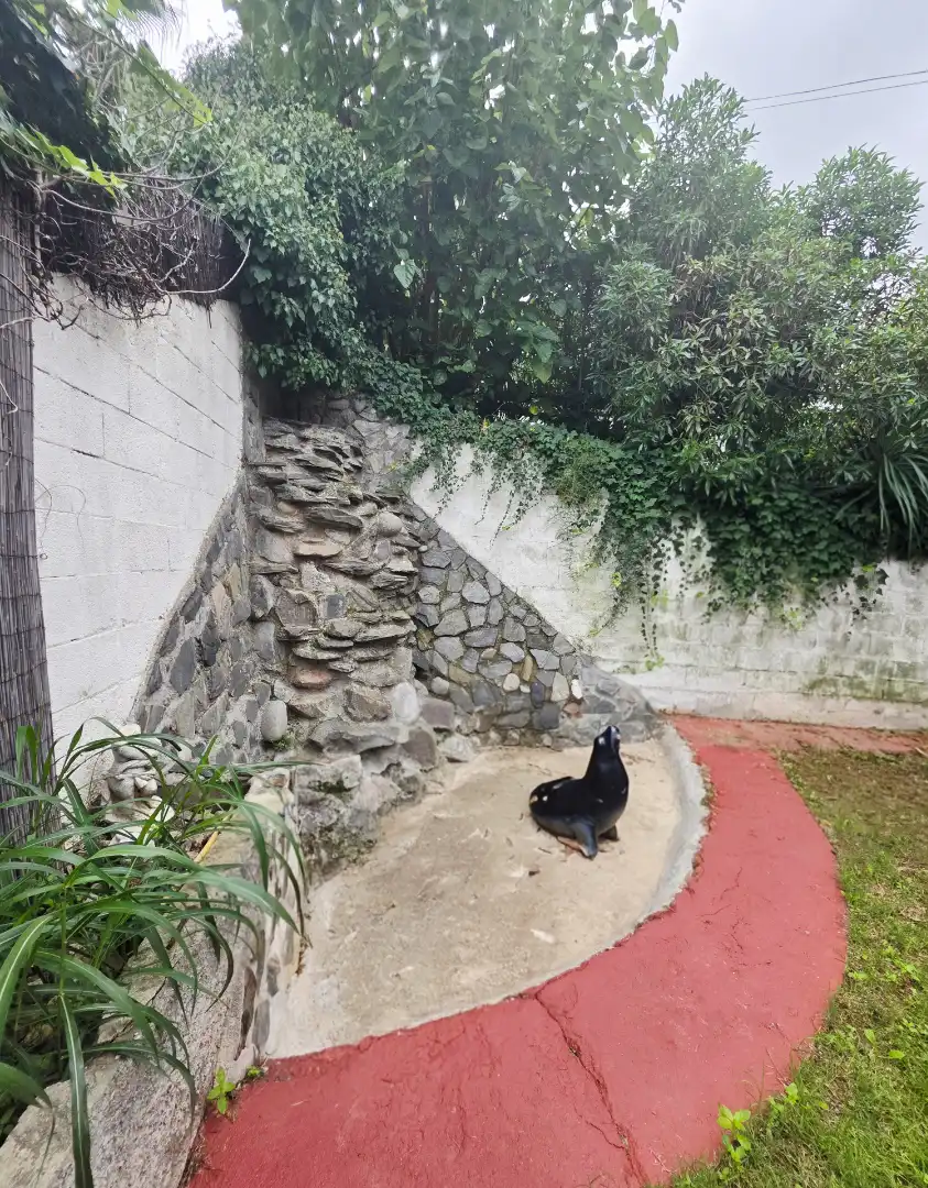 Xalet amb piscina en venda a Passeig la Masia, imagen 7