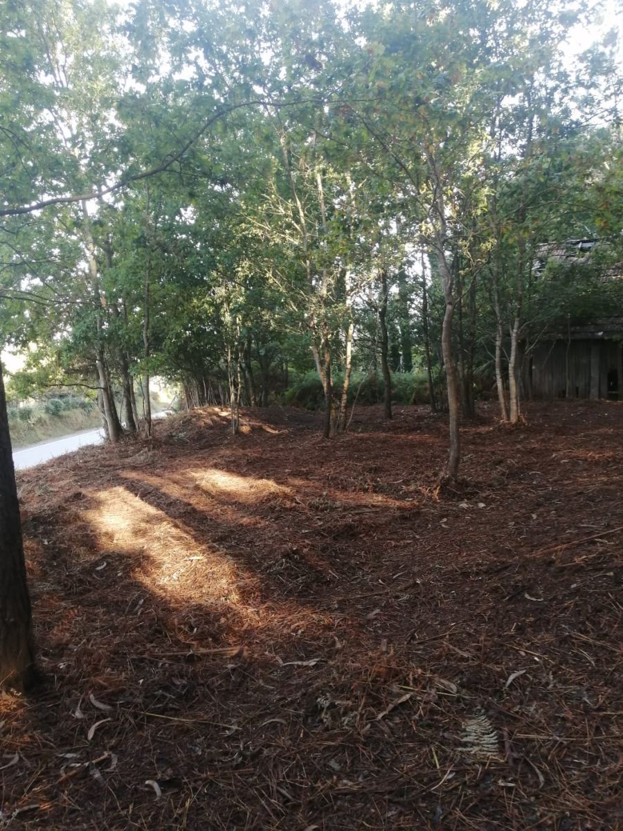 Finca rústica en venda en Ponteareas