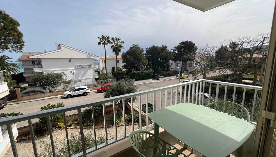 Photo 1 of Flat to rent in Muro, Illes Balears