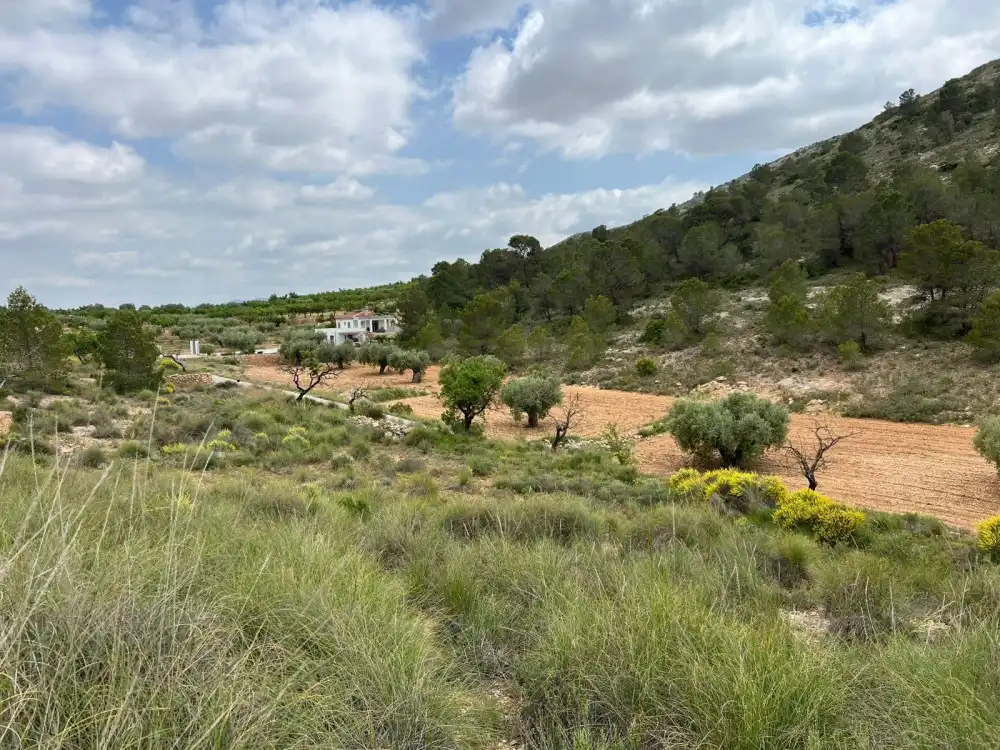 Terreny residencial en venda a Hondón de las Nieves / El Fondó de les Neus, imagen 6