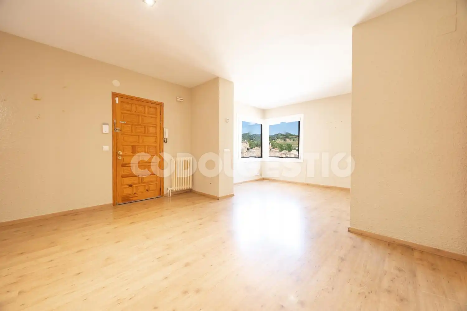 Sala d'estar de Pis en venda en Sant Quirze de Besora