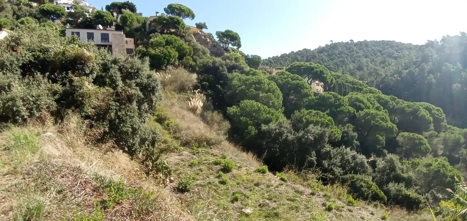 Terrenos y solares en venta en Serra Brava, imagen 4