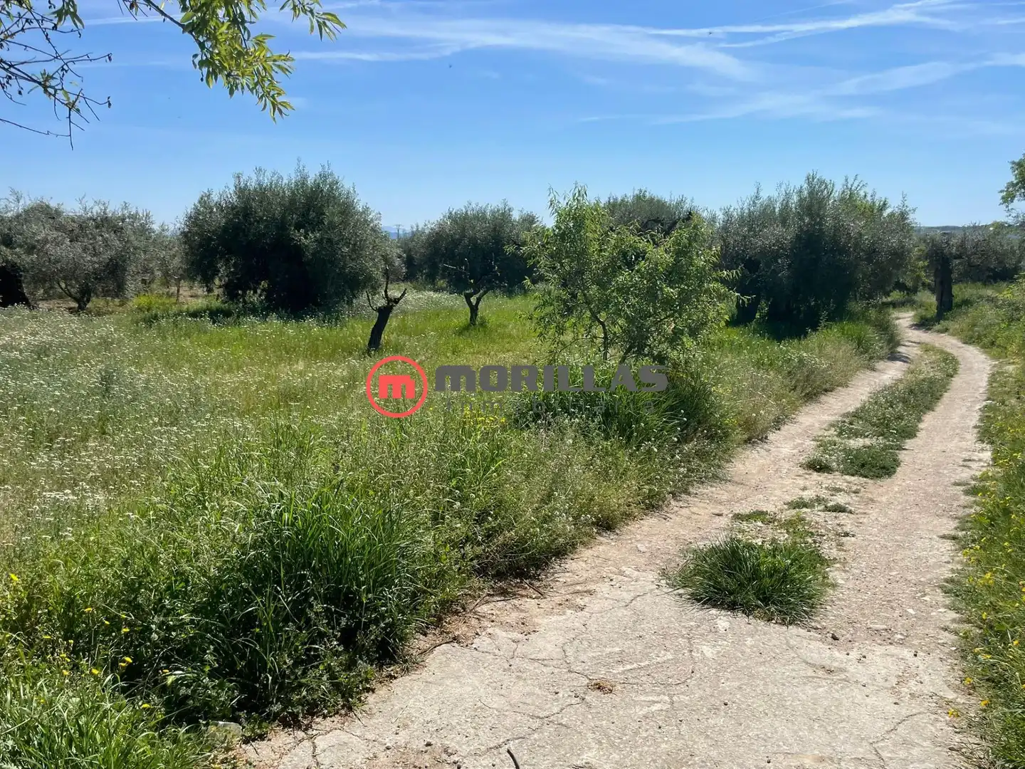 Residencial en venda en Moratalla
