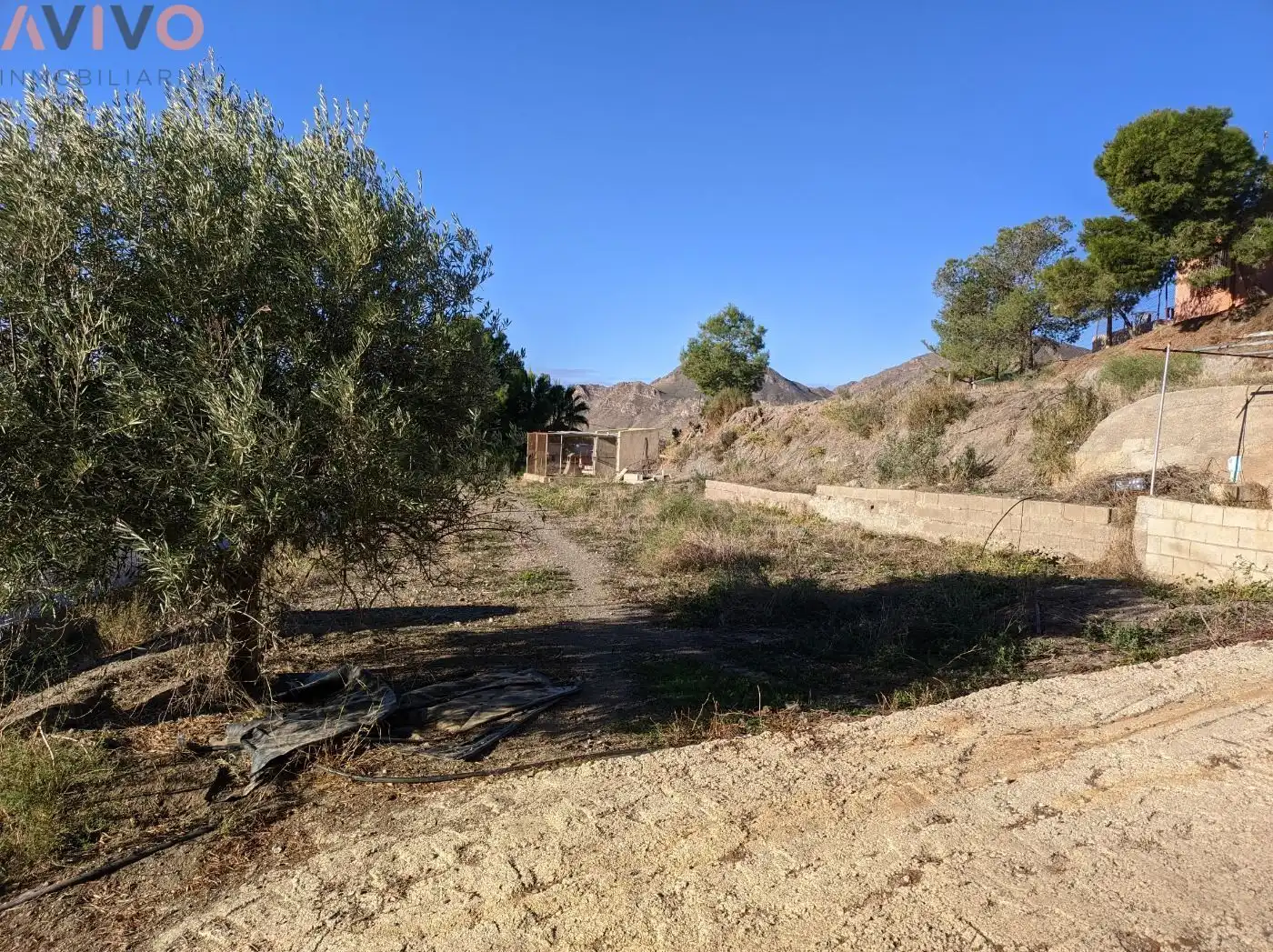 Casa rústica en venda a Tébar - Los Arejos, imagen 18