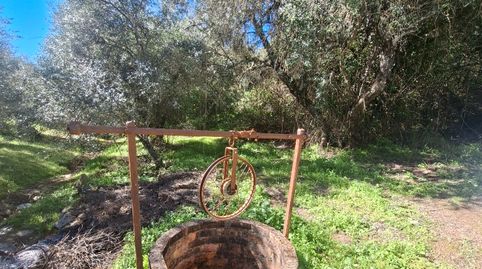 Foto 3 von Grundstücke zum Verkauf in Lugar Cementerio, 1, Las Navas de la Concepción, Sevilla