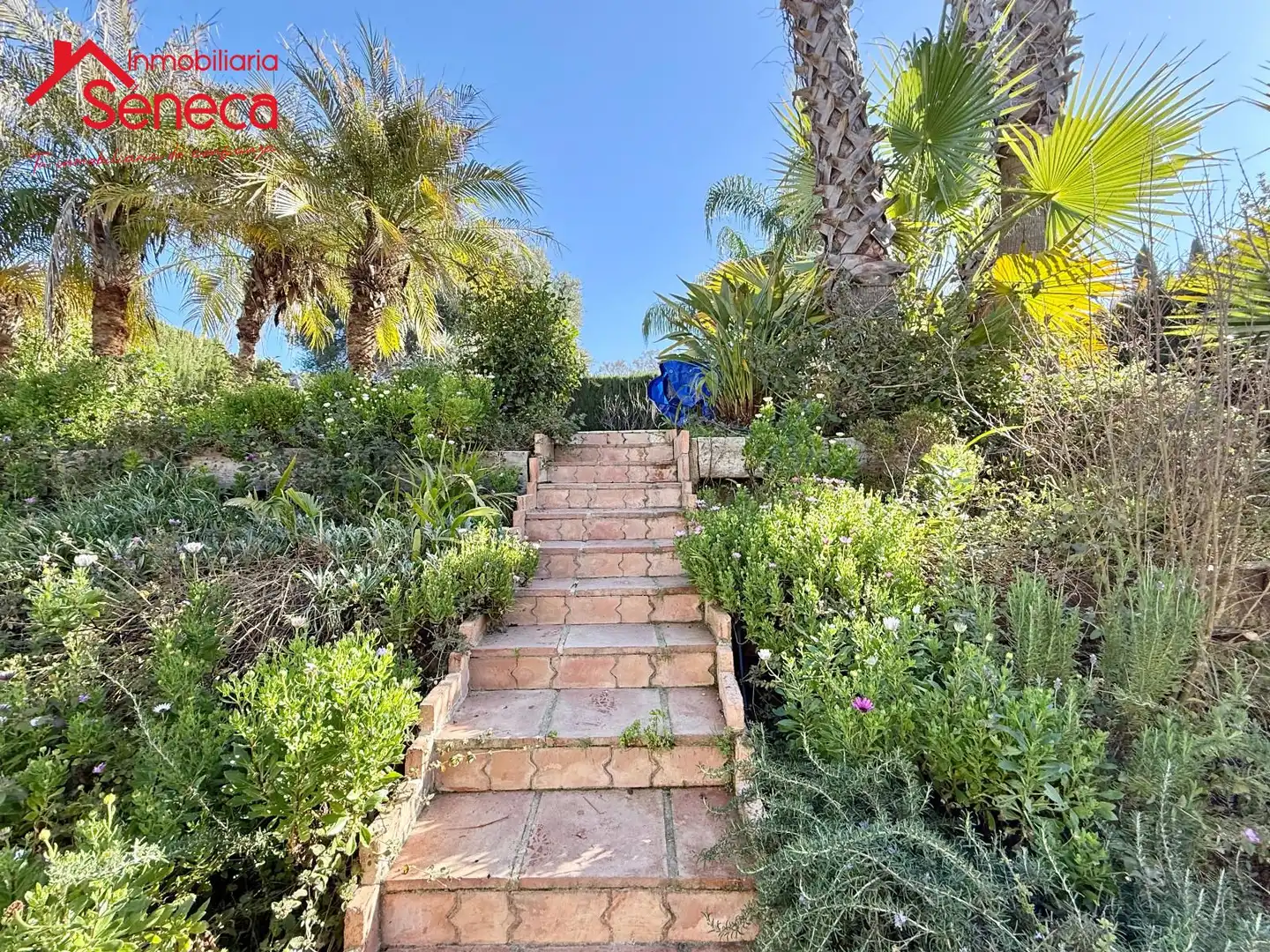 Jardí de Casa o xalet en venda en Alcolea amb Aire condicionat, Calefacció i Terrassa