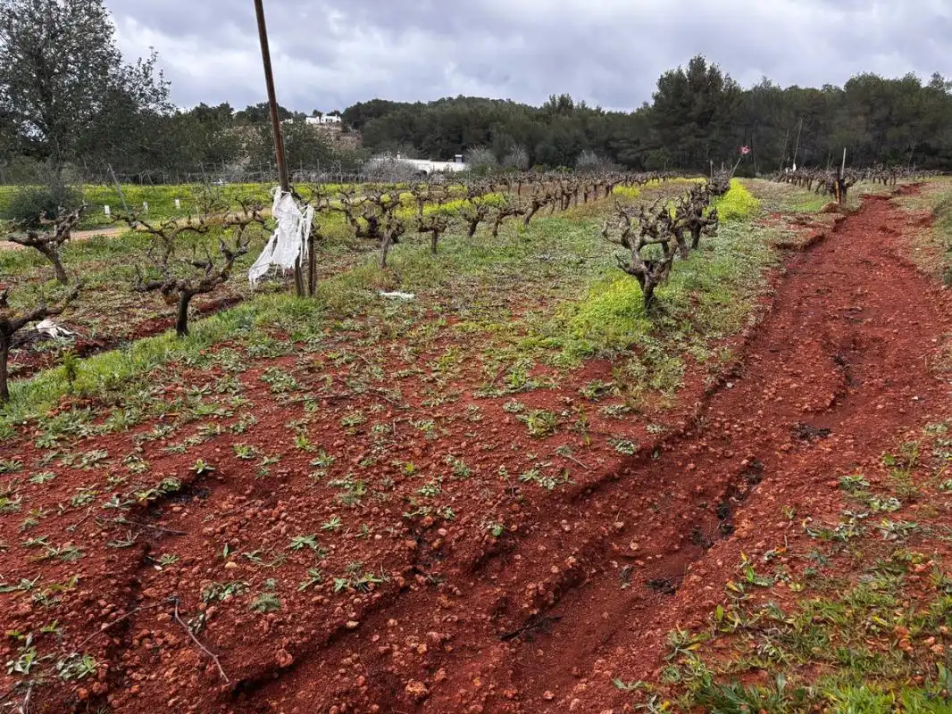 Land for sale in Sant Joan de Labritja