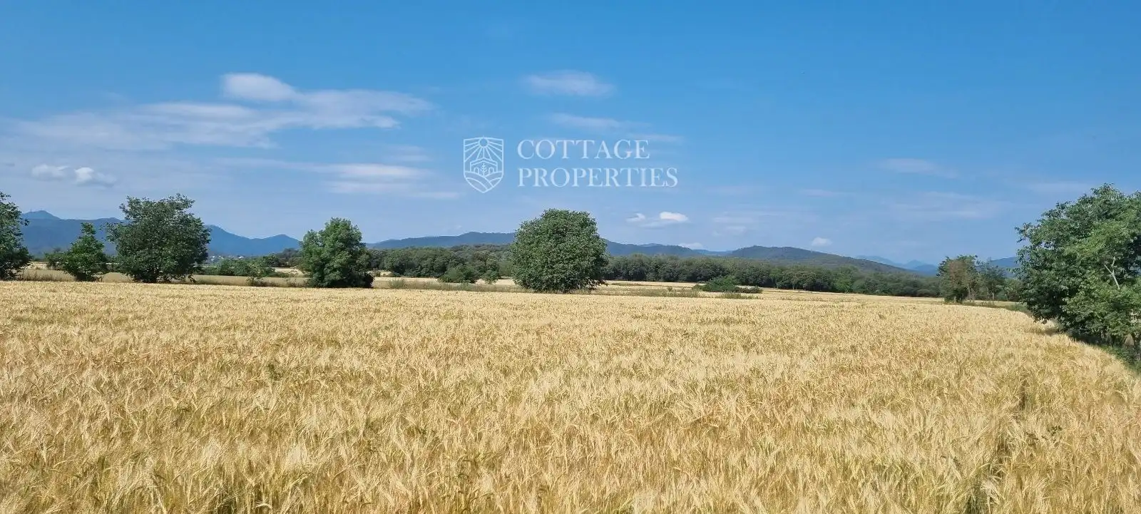 Finca rústica en venta en Serinyà