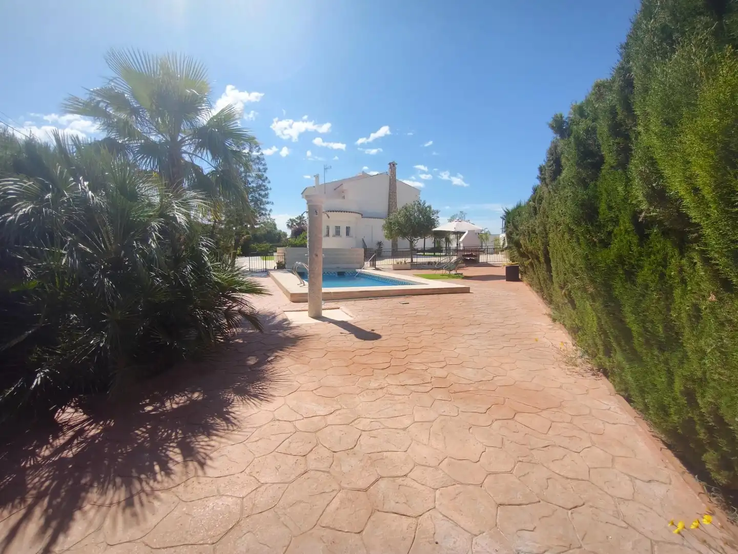 Jardín de Casa o chalet en venta en San Vicente del Raspeig / Sant Vicent del Raspeig con Piscina comunitaria