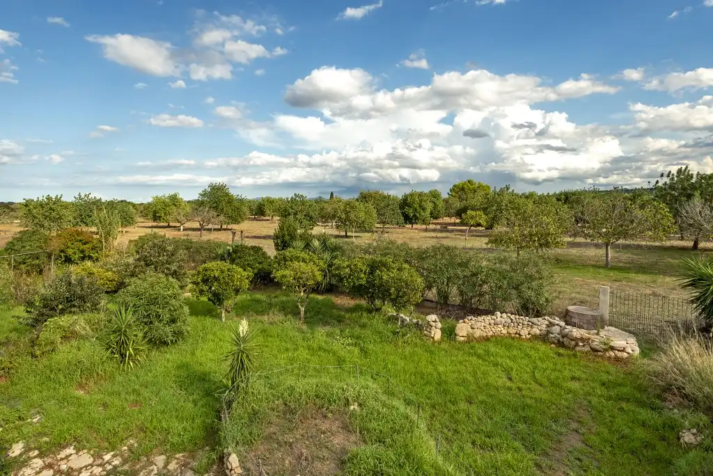 Country house for sale in Campanet, imagen 28
