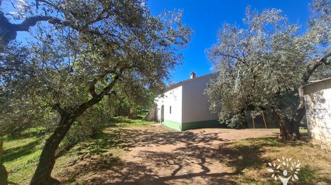 Foto 2 von Grundstücke zum Verkauf in Lugar Cementerio, 1, Las Navas de la Concepción, Sevilla