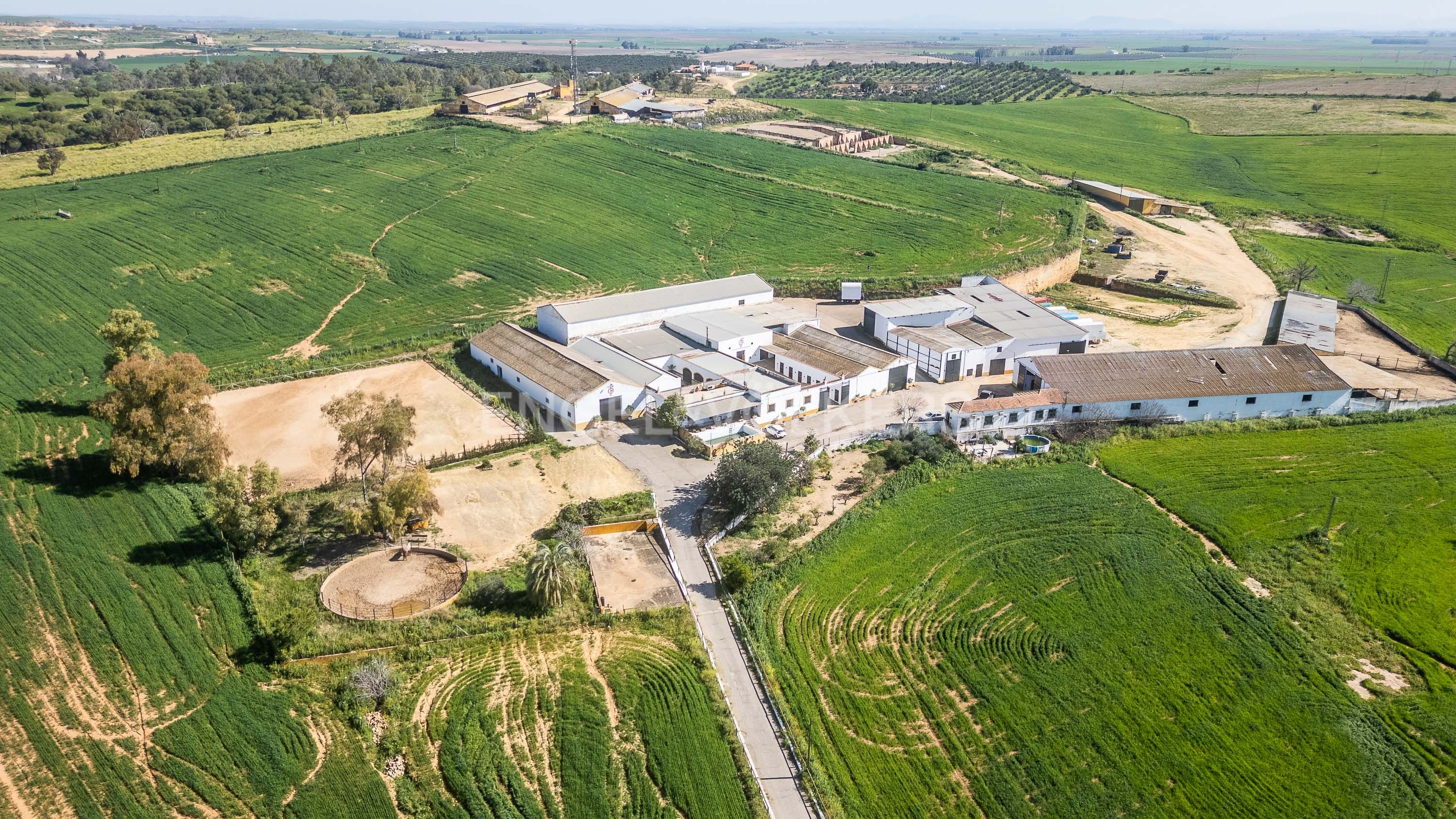 Exterior view of House or chalet for sale in Alcalá de Guadaira  with Heating and Private garden