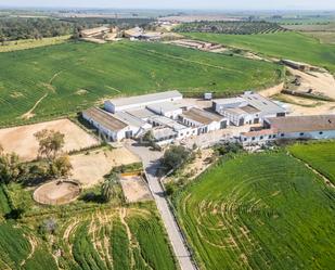 Exterior view of House or chalet for sale in Alcalá de Guadaira  with Air Conditioner, Heating and Private garden