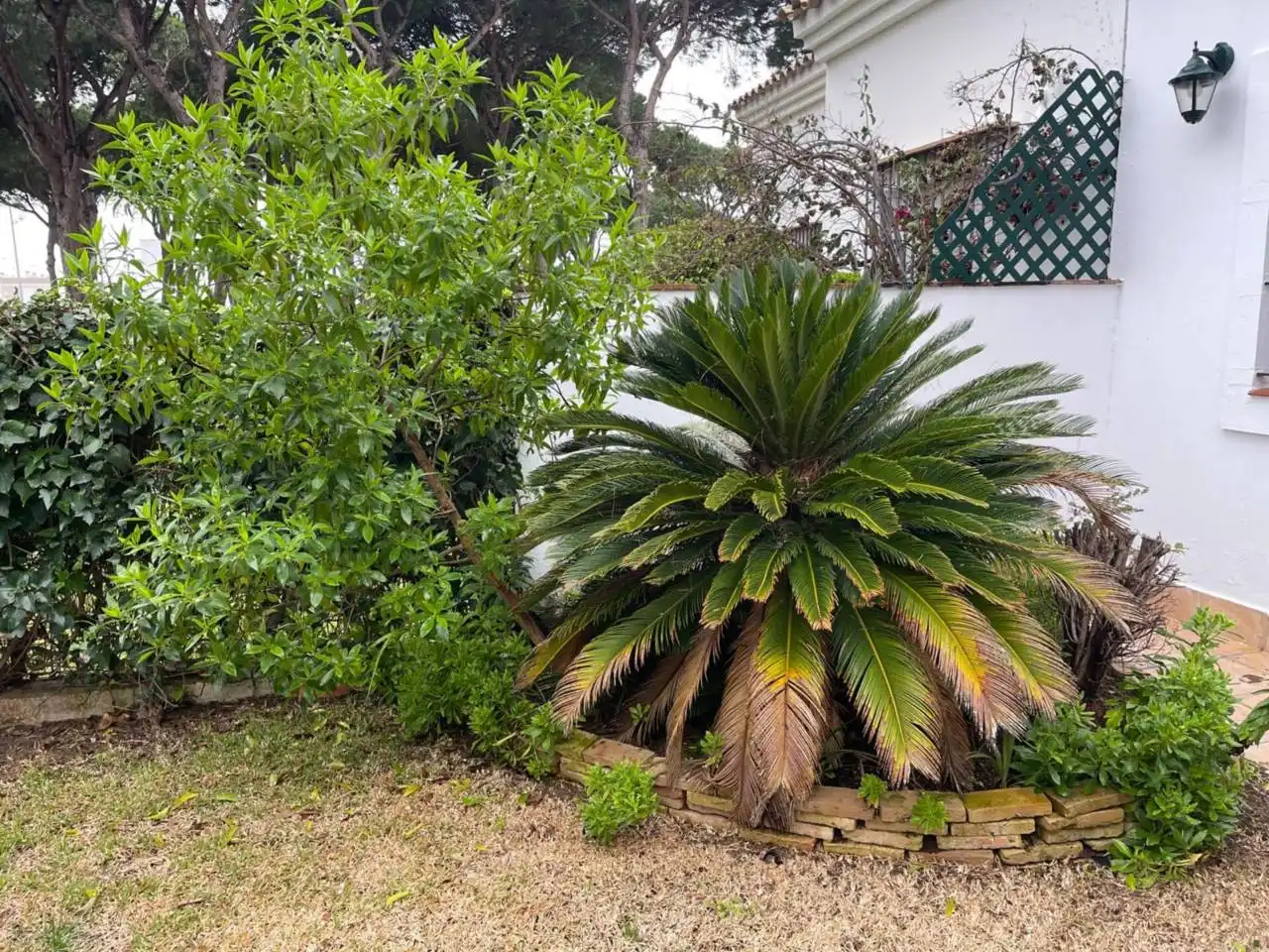 Casa o xalet de lloguer a La Barrosa