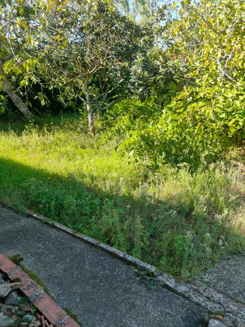 Finca rústica en venta en Mont-ras