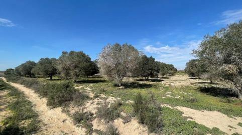 Photo 2 of Land for sale in La Marina, Elche / Elx