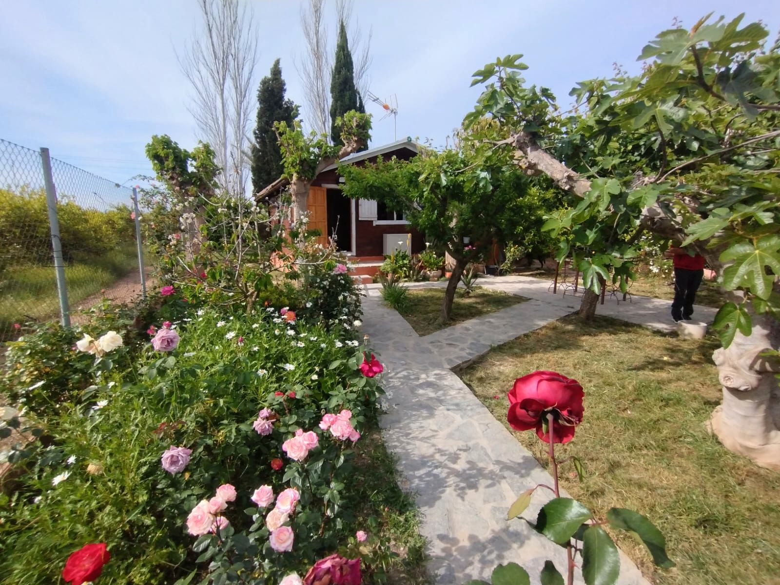 Jardí de Casa o xalet en venda en  Murcia Capital amb Jardí privat i Moblat