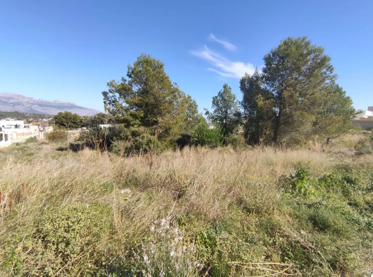 Wohnbaugrundstück zum Verkauf in La Alberca, imagen 7