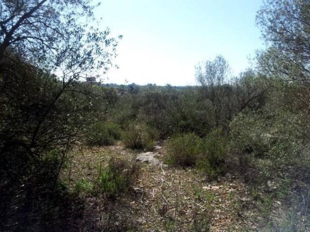 Terreno en Venta en Son Gual-e, 11 en Son Gual