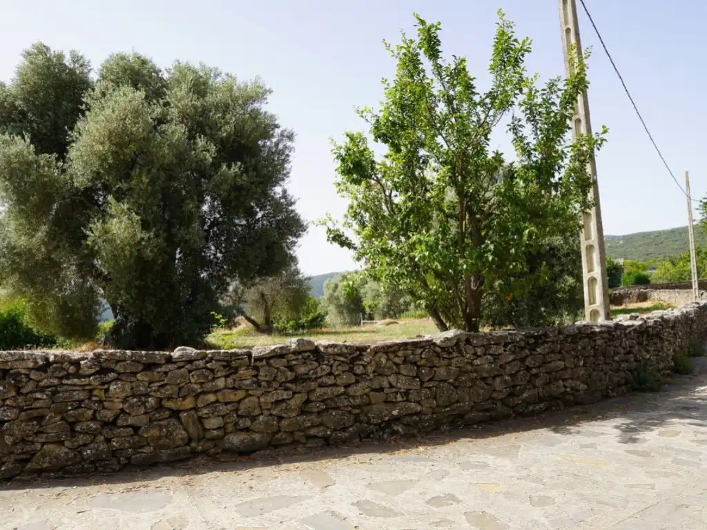 Terreni e lotti in vendita a Camino Casa Olivera(Lecina) 1, imagen 19
