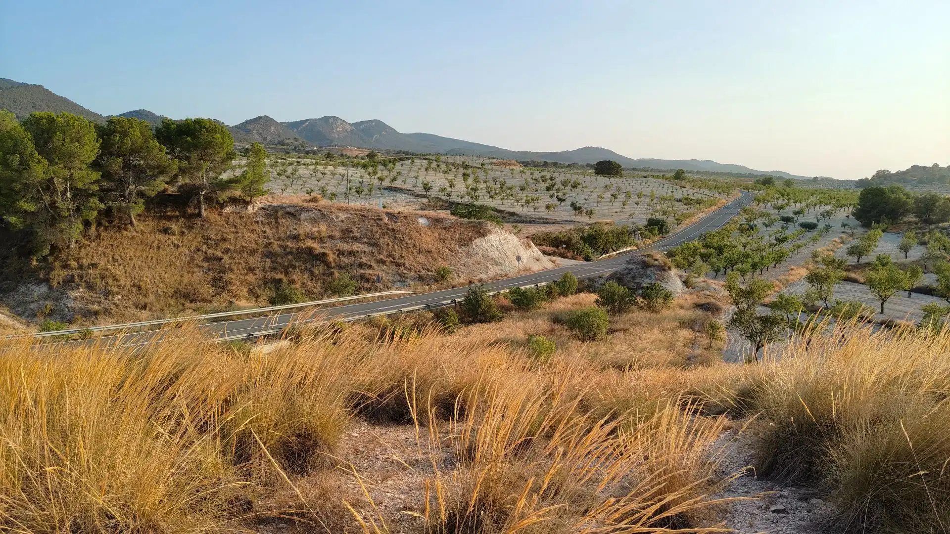 Terreno rustico in vendita a Jumilla, imagen 6