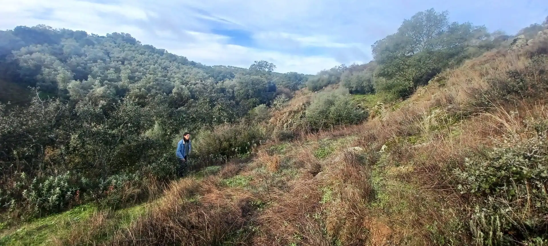 Terreny rústic en venda a Cazalla de la Sierra, imagen 34