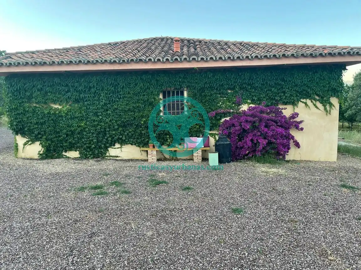 Vista exterior de Casa o chalet en venta en Jaraíz de la Vera